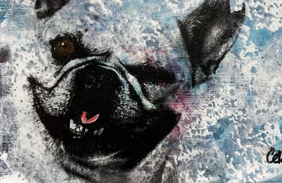Buster 2 • Corla McGillivray